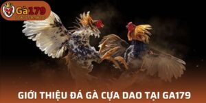 Cựa Dao