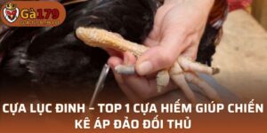 Cựa Lục Đinh