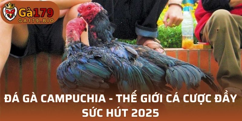 Đá Gà Campuchia