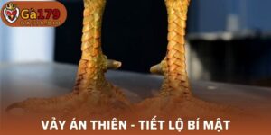 Vảy Án Thiên