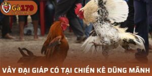 Vảy Đại Giáp