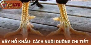 Vảy Hổ Khẩu