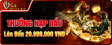 Banner Khuyến Mãi GA179