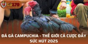 Đá Gà Campuchia