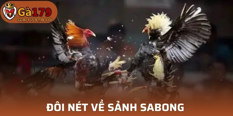 Đôi nét về sảnh Sabong