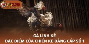 Gà Linh Kê