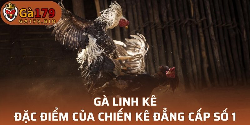 Gà Linh Kê