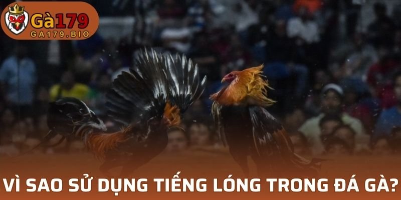 Tiếng lóng có vai trò cần thiết