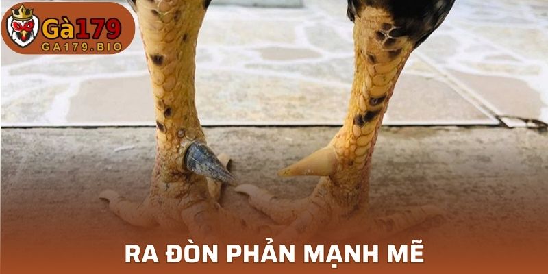 Vấn đề nguy hiểm gây ra vết thương