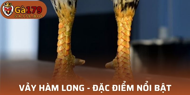 Vảy Hàm Long