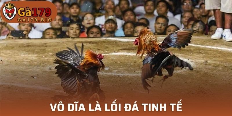 Vô dĩa chỉ lối đá rất tinh tế